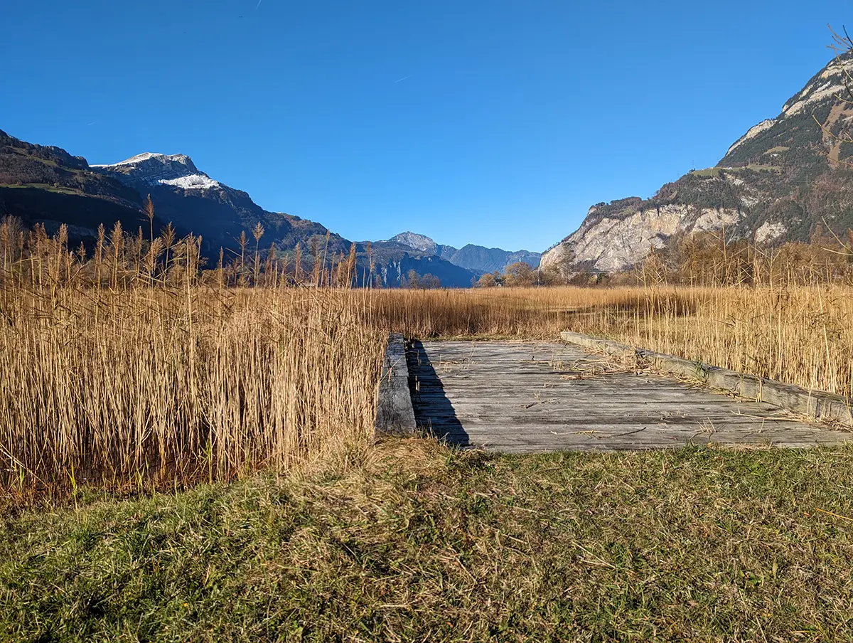 Urnersee_Delta